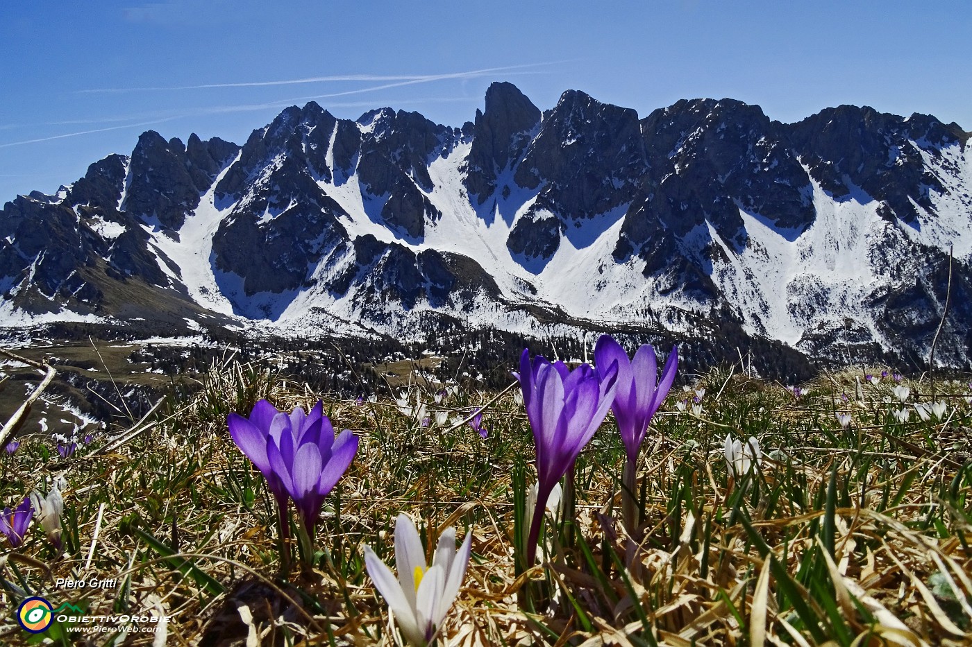 33 Crocus primaverili sullo sfondo delle Piccole Dolomiti Scalvine.JPG -                                